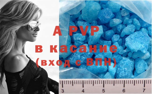 крисы Балахна