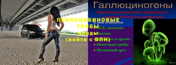 крисы Балахна