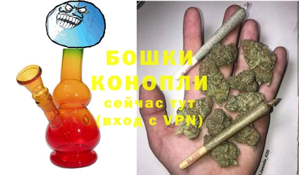 крисы Балахна