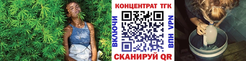 где можно купить   Вяземский  ТГК концентрат 