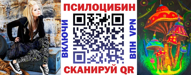 купить наркоту  Вяземский  Псилоцибиновые грибы ЛСД 